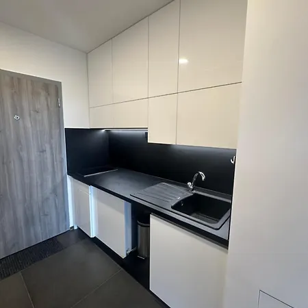 Apartman Light Near Center With Easy Transport Access