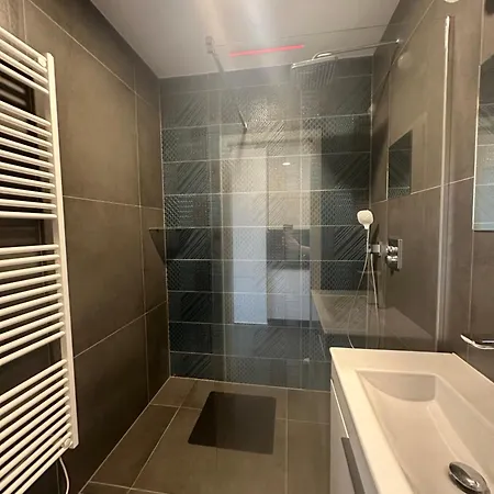 Light Near Center With Easy Transport Access Apartman