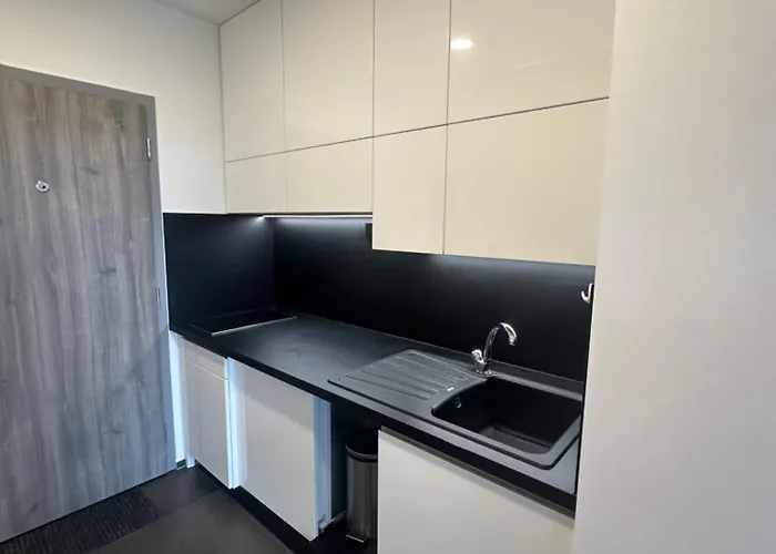 Appartement Light Near Center With Easy Transport Access